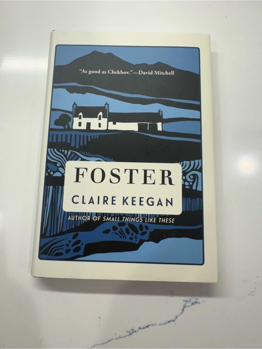 Claire Keegan Foster (2022) Hardcover Fiction Novella w/ Dust Jacket